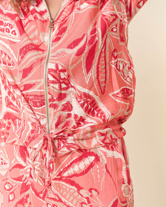 Bomberjack - Bambi-Koord Begonia Mix | Koraal